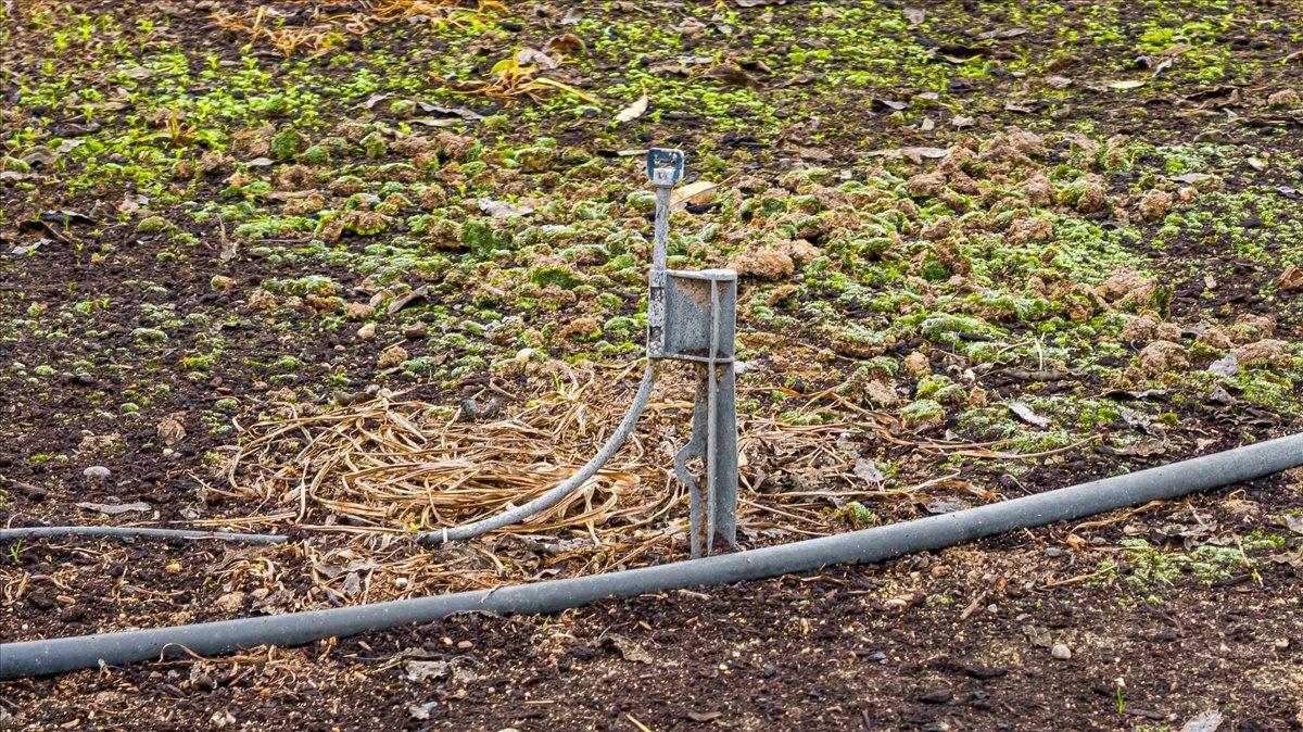 20339 Sexton Rd, Escalon, CA 95320