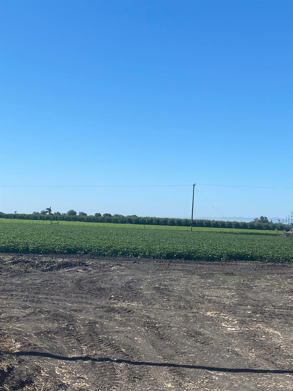 0 Elgien Ave, Dos Palos, CA 93620