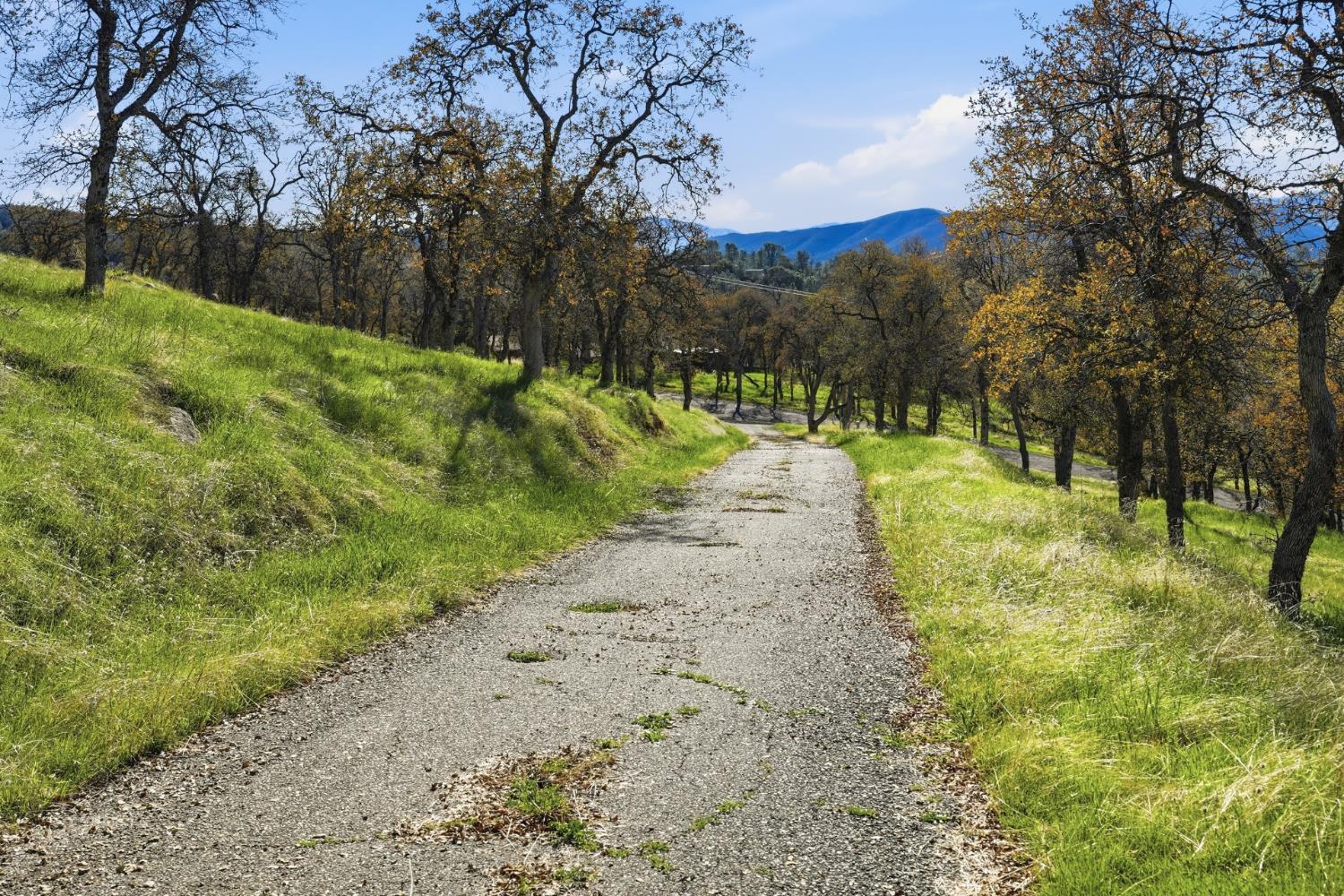 5670 Bear Trap Dr, Mariposa, CA 95338