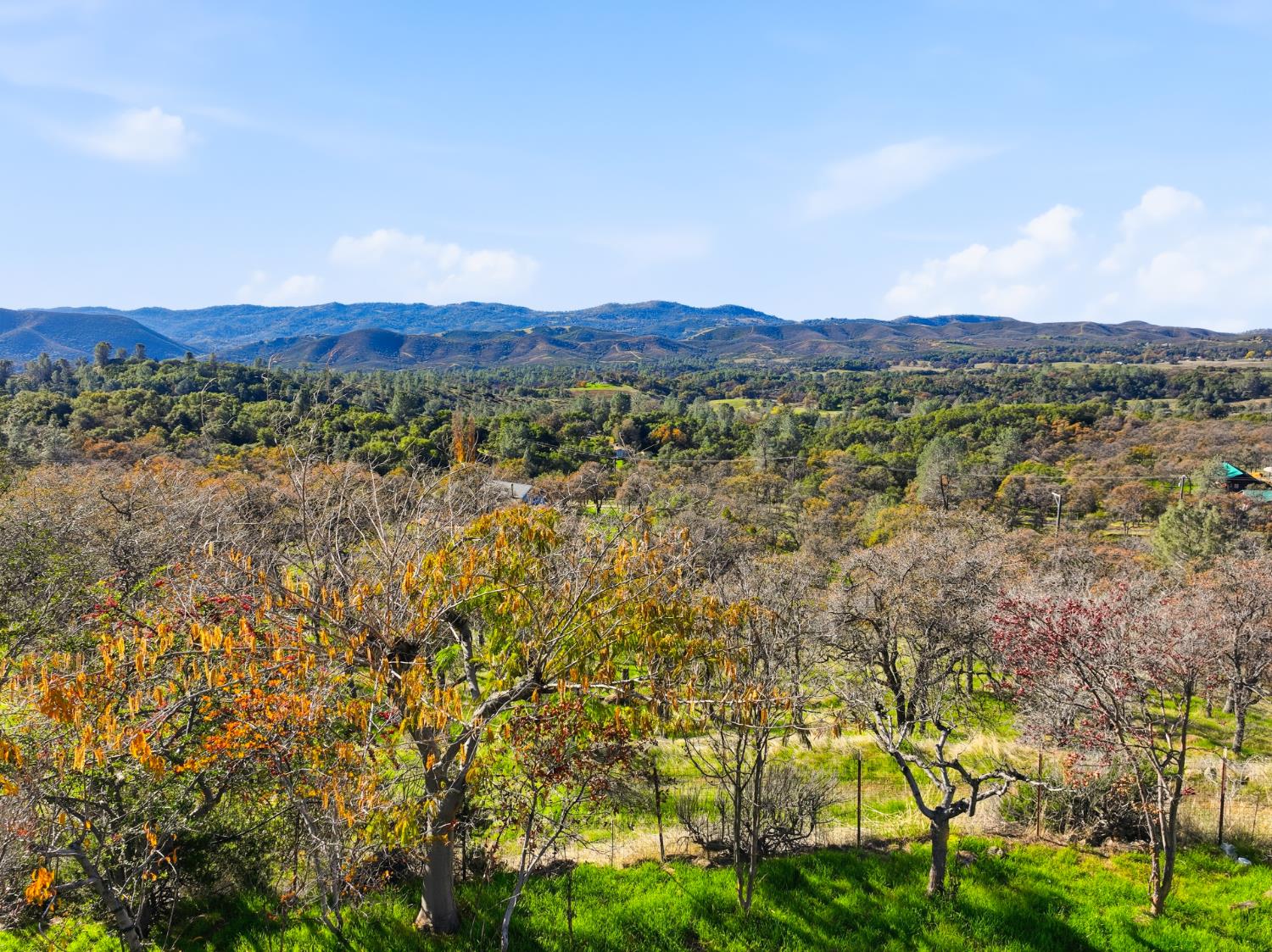 5670 Bear Trap Dr, Mariposa, CA 95338