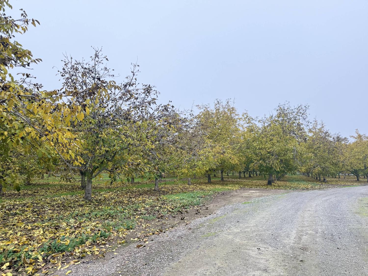 30944 Grooms Rd, Oakdale, CA 95361