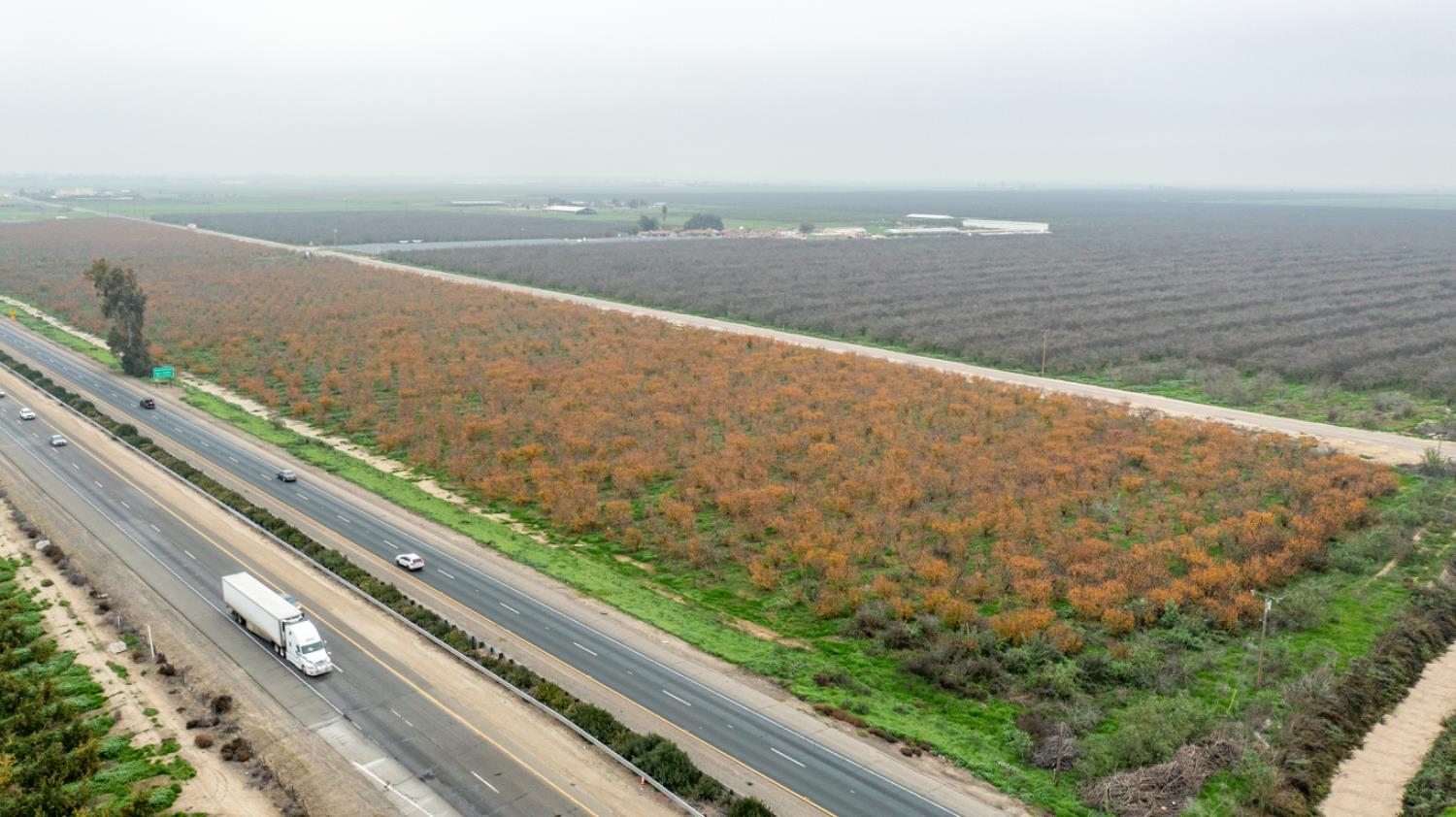 0 Hwy 99 & Ave 184, Tulare, CA 93274