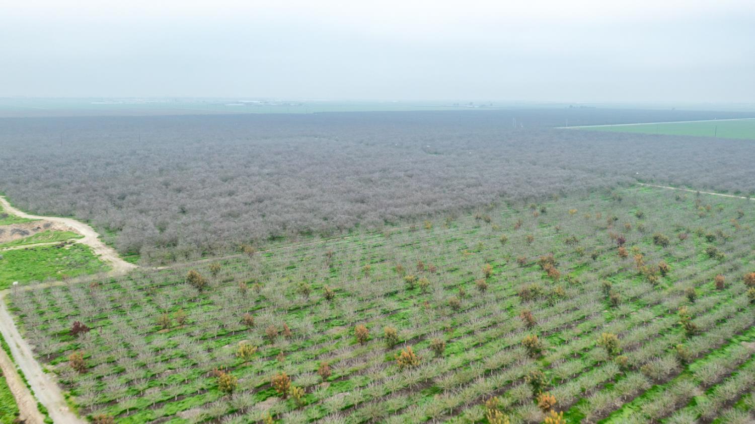 12394 Ave 184, Tulare, CA 93274