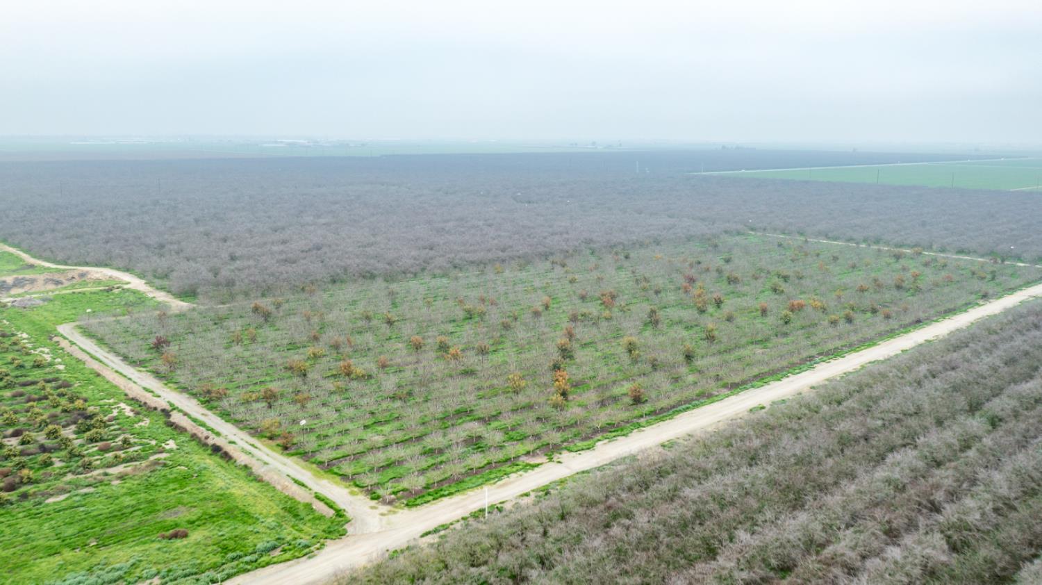 12394 Ave 184, Tulare, CA 93274