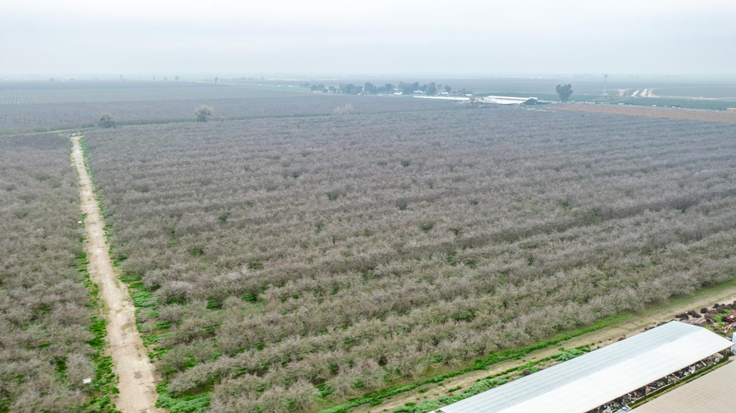 12394 Ave 184, Tulare, CA 93274