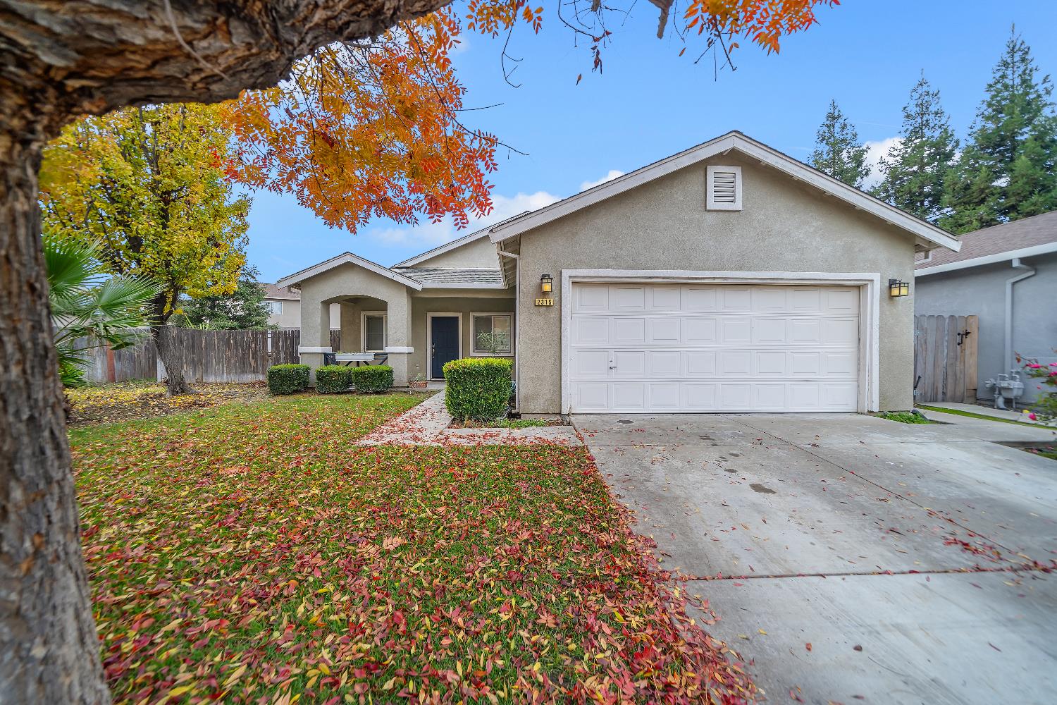 2315 Merriment Ct, Turlock, CA 95380
