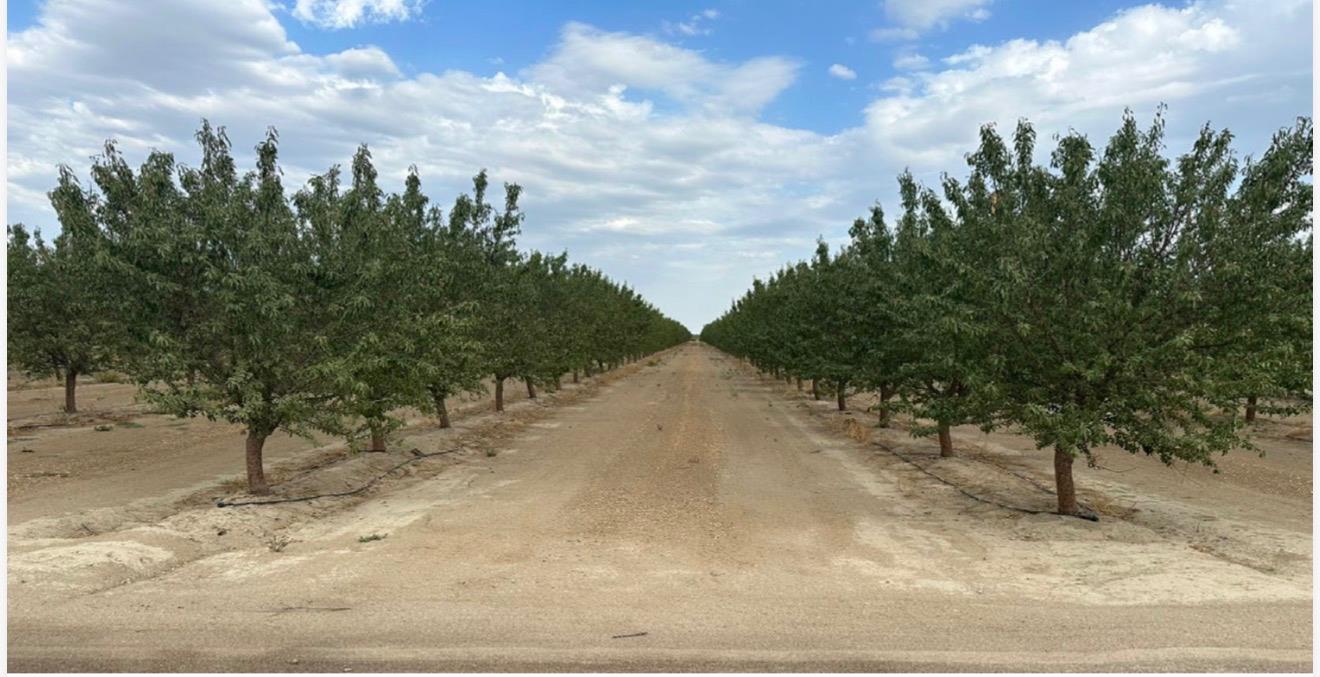 4783 W Manning Ave, Fresno, CA 93706