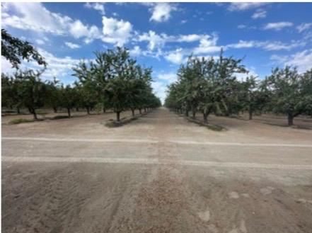 4783 W Manning Ave, Fresno, CA 93706