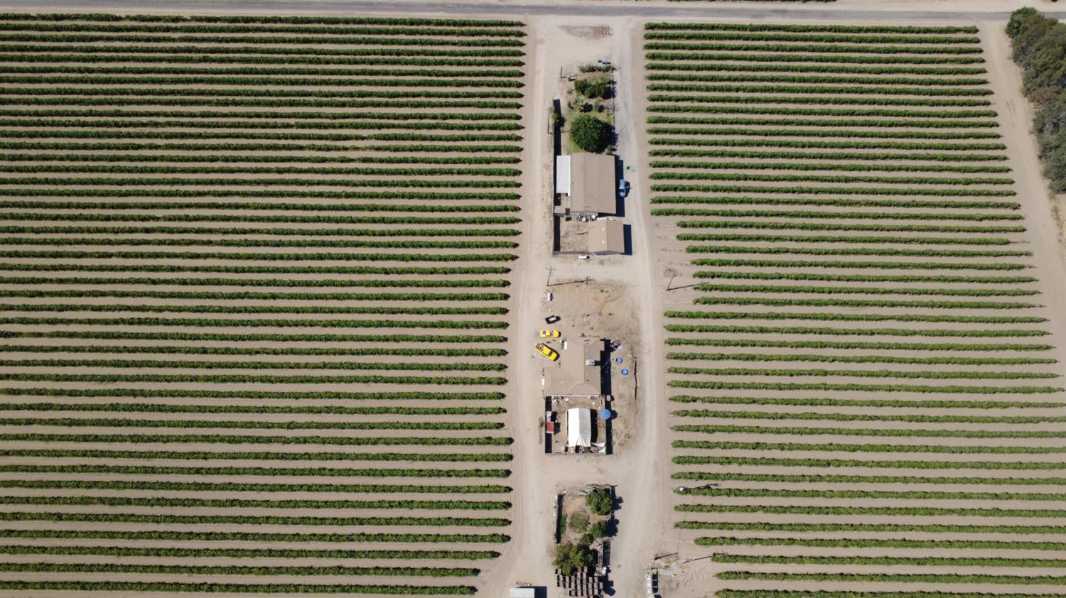 2247 W Magnolia Ave, Caruthers, CA 93609