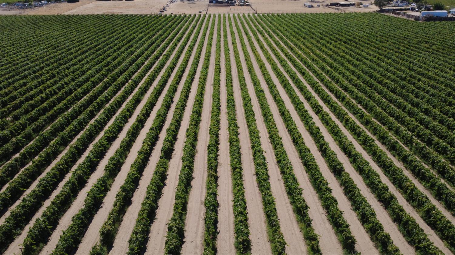 2247 W Magnolia Ave, Caruthers, CA 93609