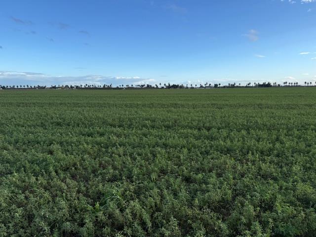 1430 Walnut Ave., Patterson, CA 95363