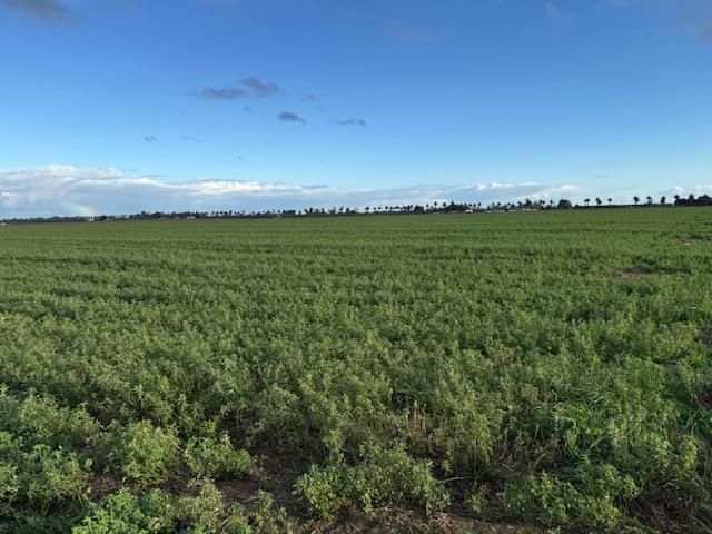 1430 Walnut Ave., Patterson, CA 95363