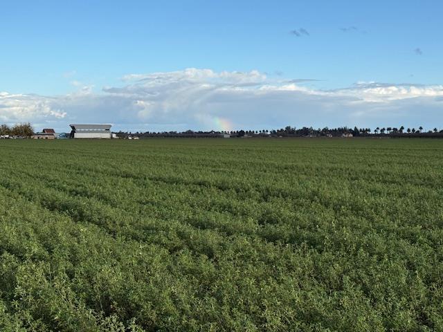 1430 Walnut Ave., Patterson, CA 95363