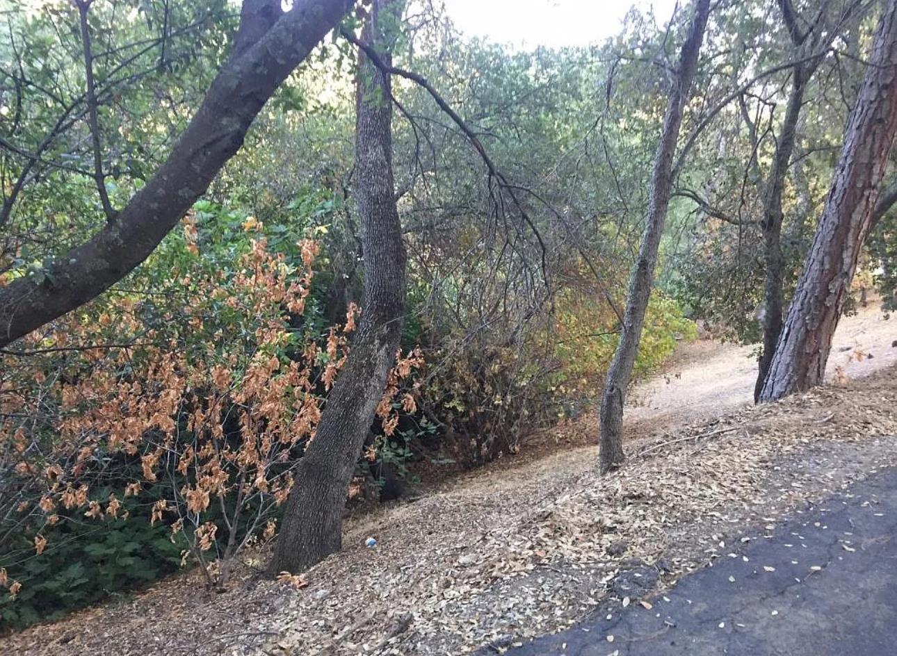 82 Poker Flat Rd, Copperopolis, CA 95228