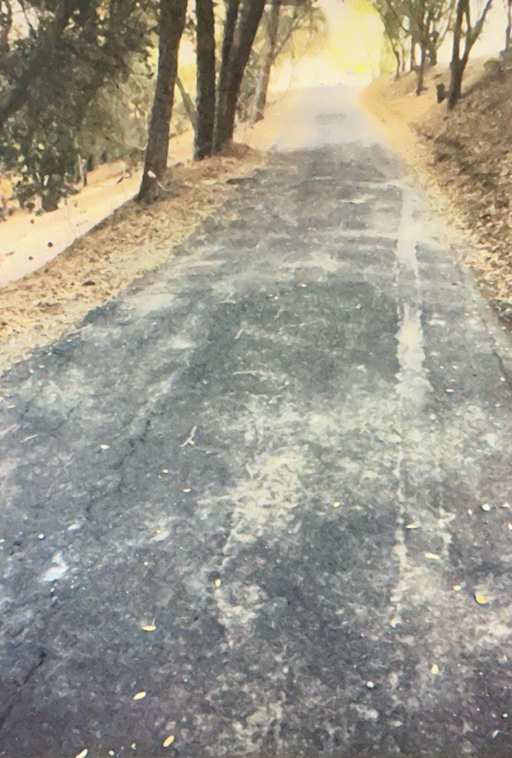 82 Poker Flat Rd, Copperopolis, CA 95228