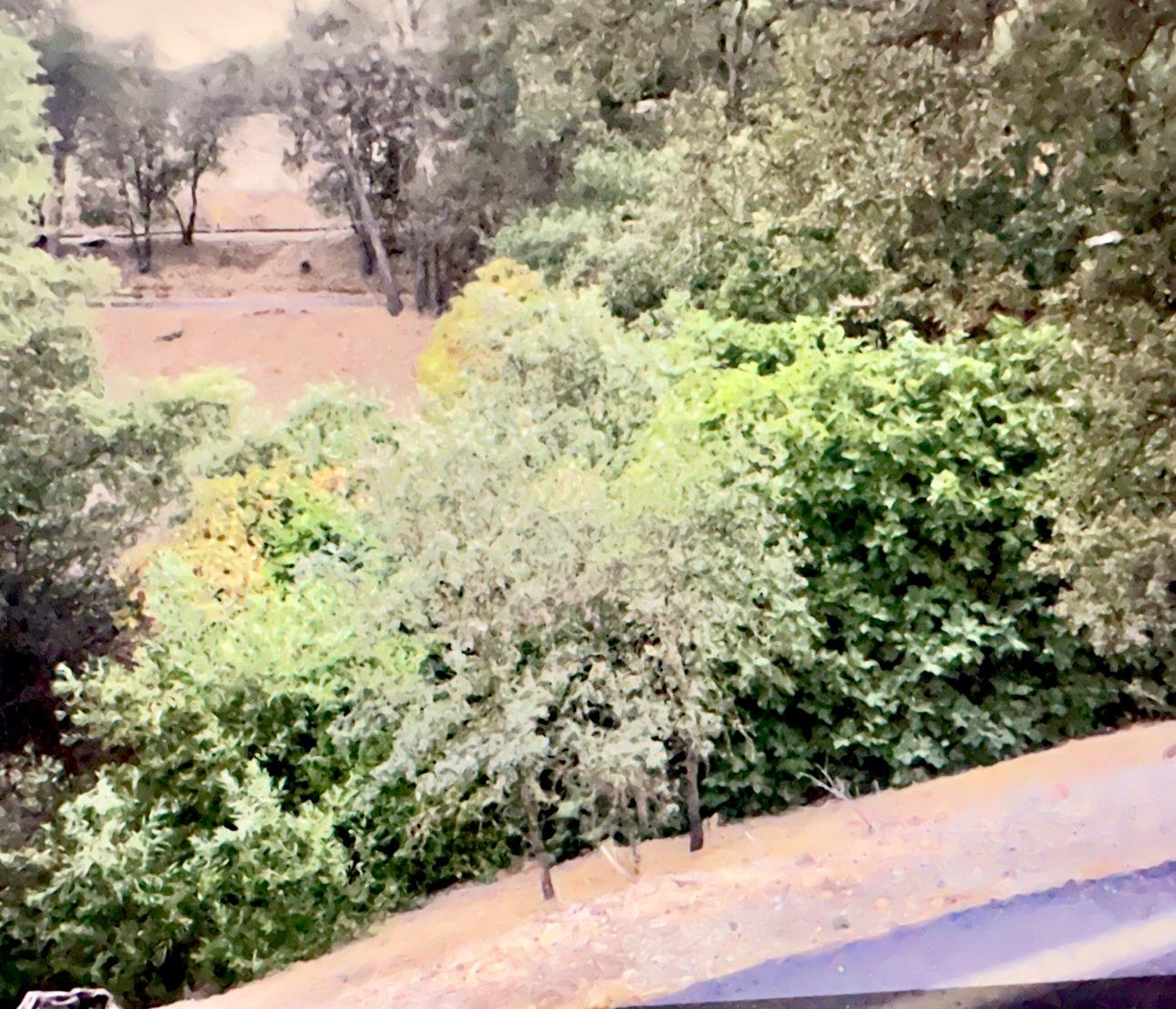 82 Poker Flat Rd, Copperopolis, CA 95228