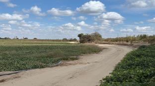 0 Flint, Livingston, CA 95334