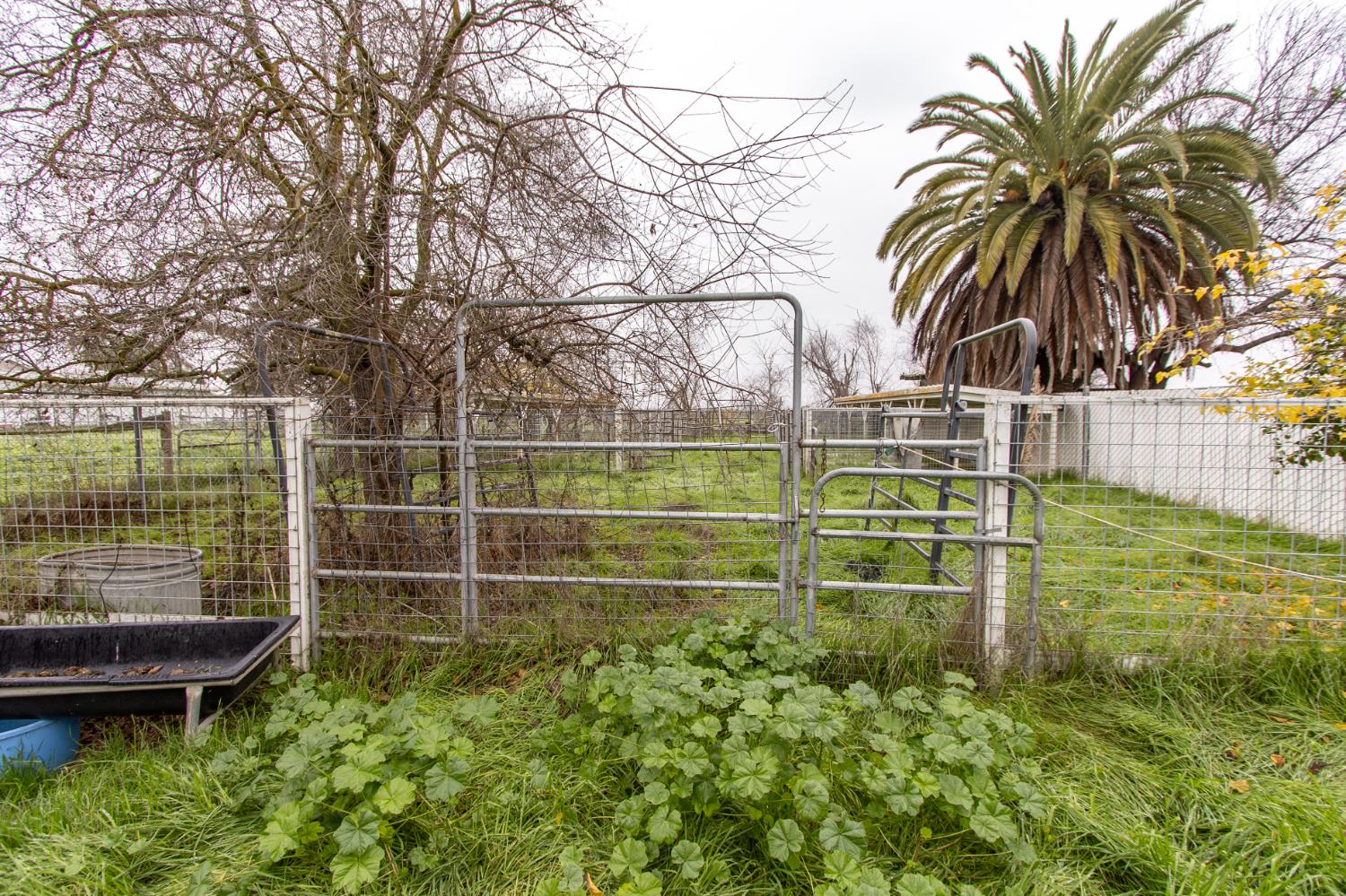 4342 Vassar Ave, Merced, CA 95341