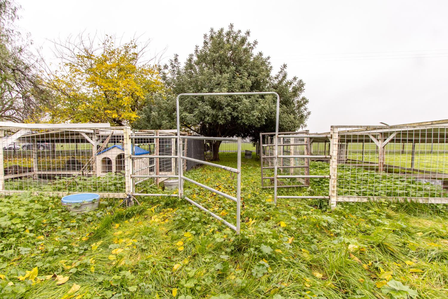 4342 Vassar Ave, Merced, CA 95341