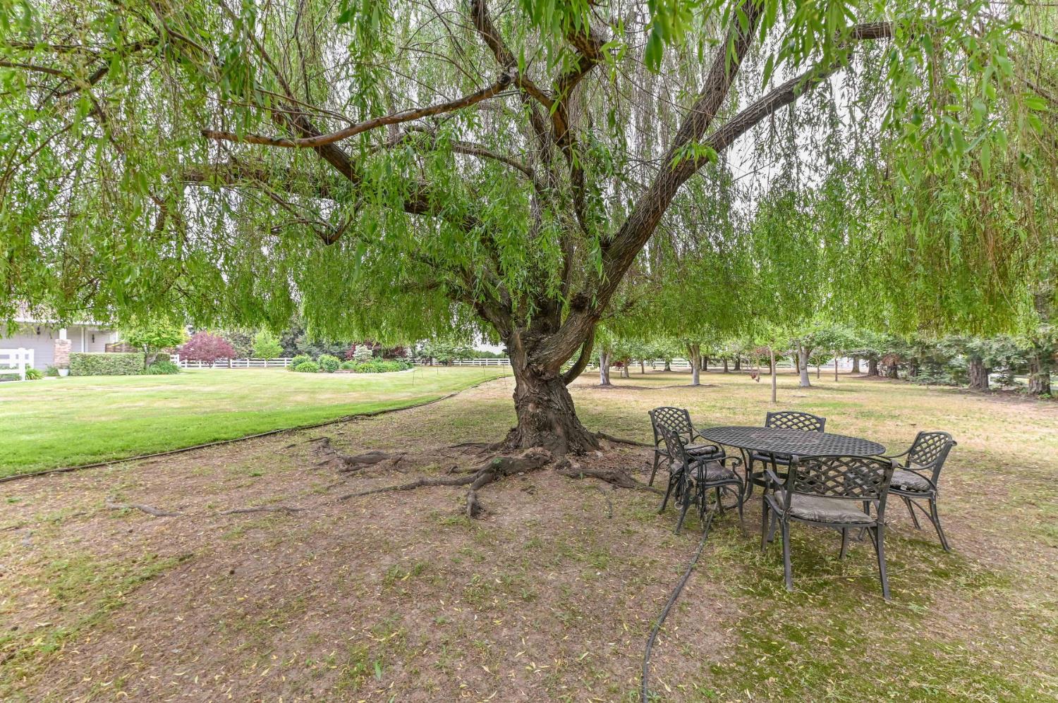 11038 Victory Ave, Oakdale, CA 95361