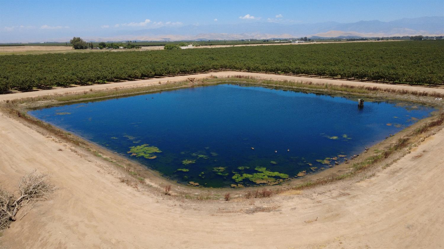 0 Ave 24 & Rd 208, Terra Bella, CA 93270