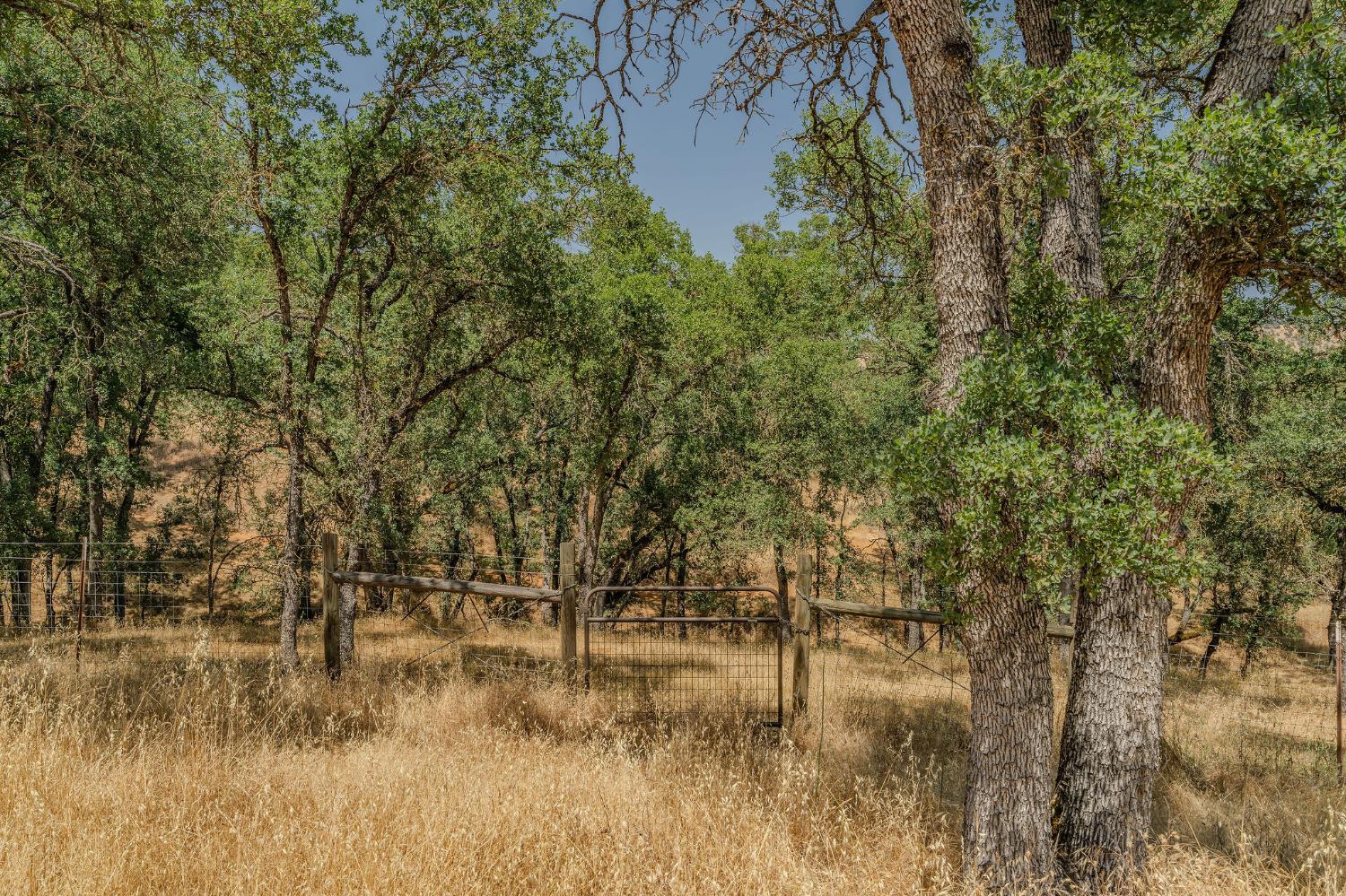 1436 Papoose Dr, Copperopolis, CA 95228