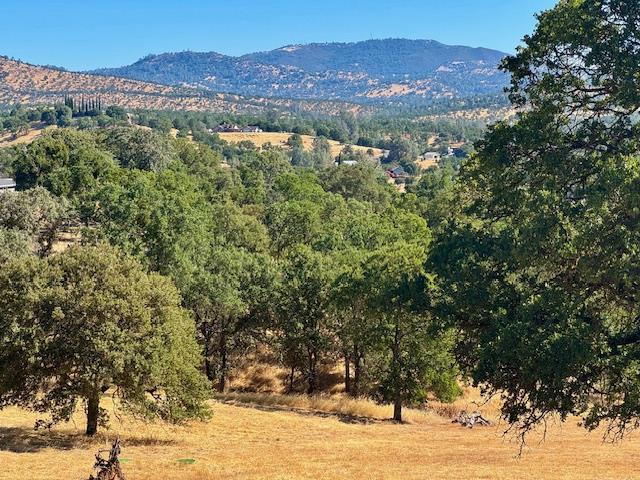 1496 Papoose Dr, Copperopolis, CA 95228