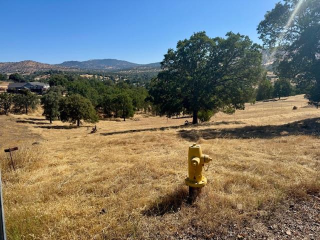 1496 Papoose Dr, Copperopolis, CA 95228