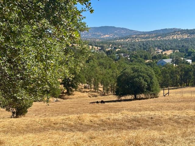 1496 Papoose Dr, Copperopolis, CA 95228