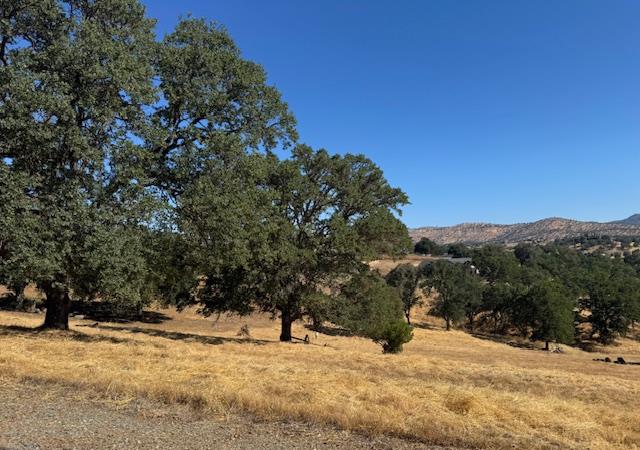 1496 Papoose Dr, Copperopolis, CA 95228