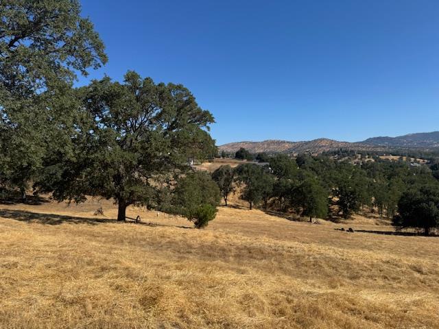 1496 Papoose Dr, Copperopolis, CA 95228