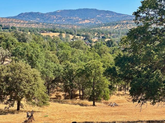 1496 Papoose Dr, Copperopolis, CA 95228