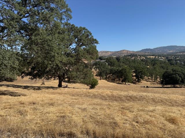 1496 Papoose Dr, Copperopolis, CA 95228