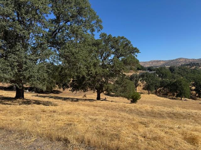 1496 Papoose Dr, Copperopolis, CA 95228