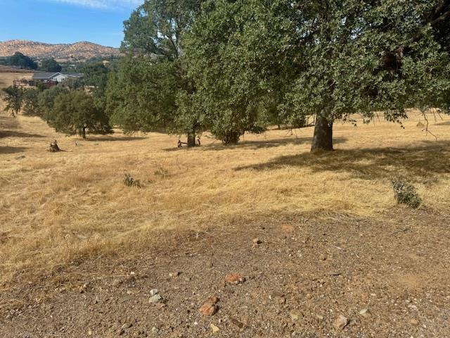 1496 Papoose Dr, Copperopolis, CA 95228