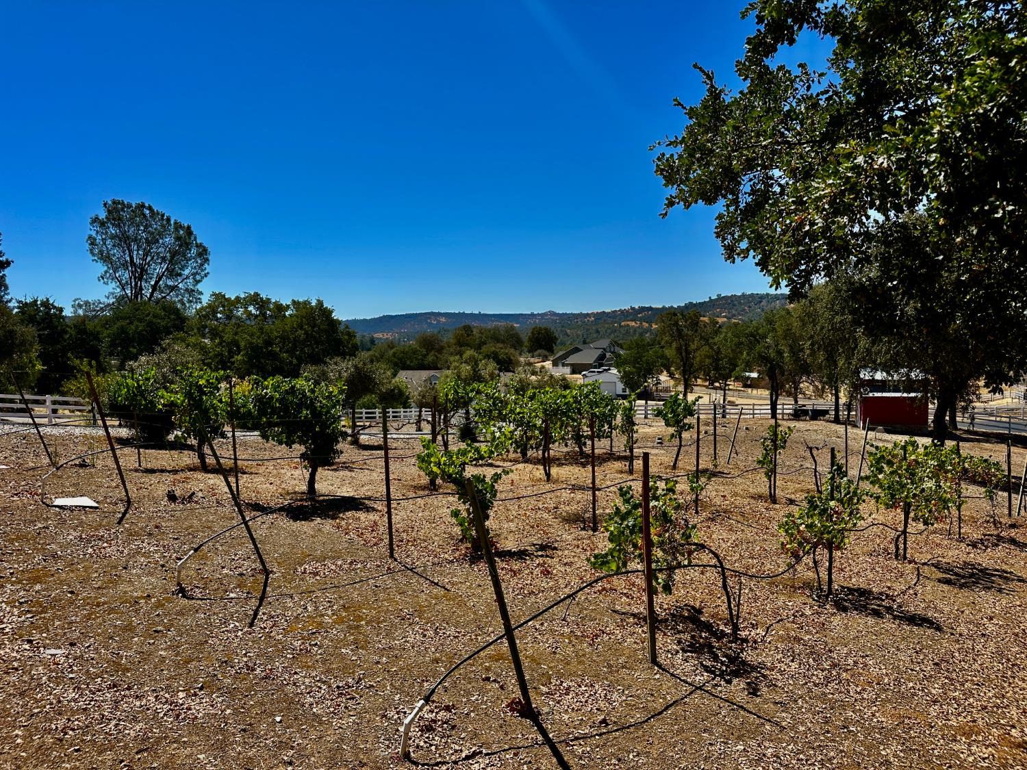 300 Bridlewood Ln, Copperopolis, CA 95228