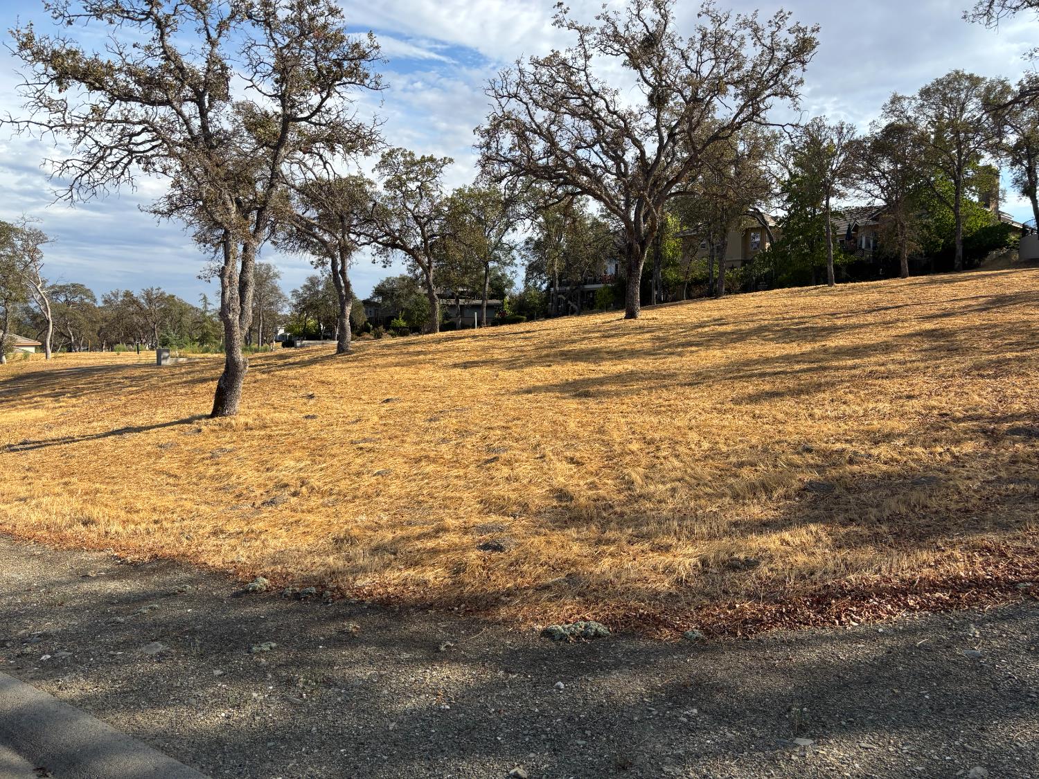 1200 Knolls Dr, Copperopolis, CA 95228