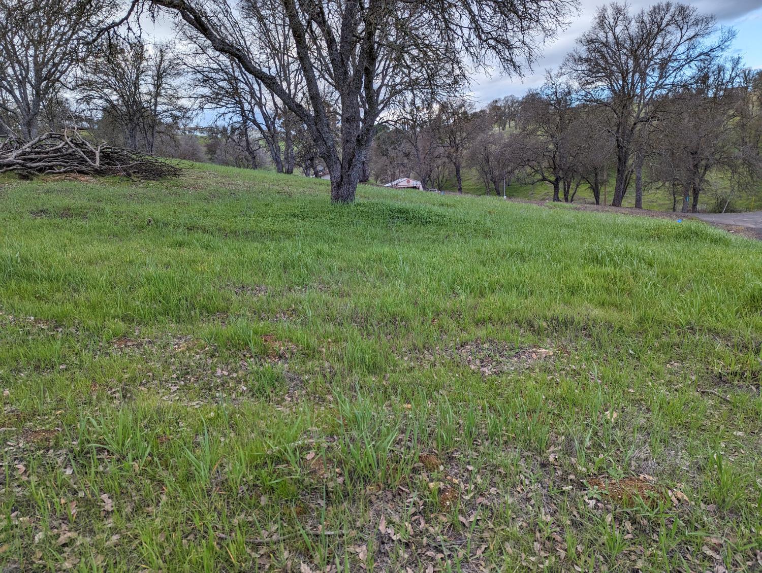 1751 Choctaw Rd, Copperopolis, CA 95228