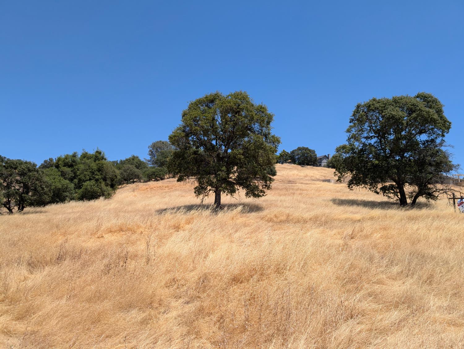 3669 Little John Rd, Copperopolis, CA 95228