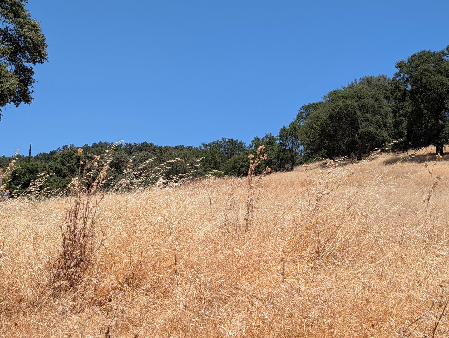 3669 Little John Rd, Copperopolis, CA 95228