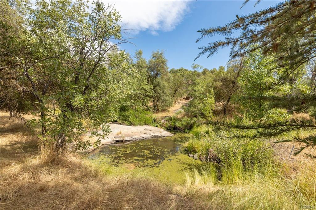 32413 Chickasaw Rd, Coarsegold, CA 93614