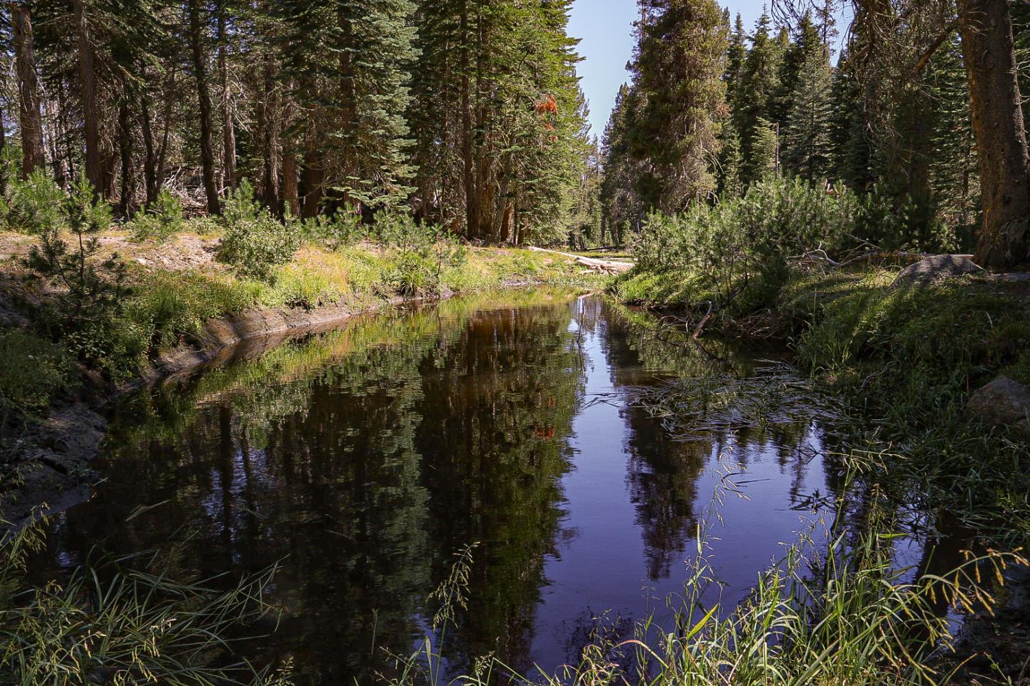 67922 Beasore Rd, Bass Lake, CA 95604