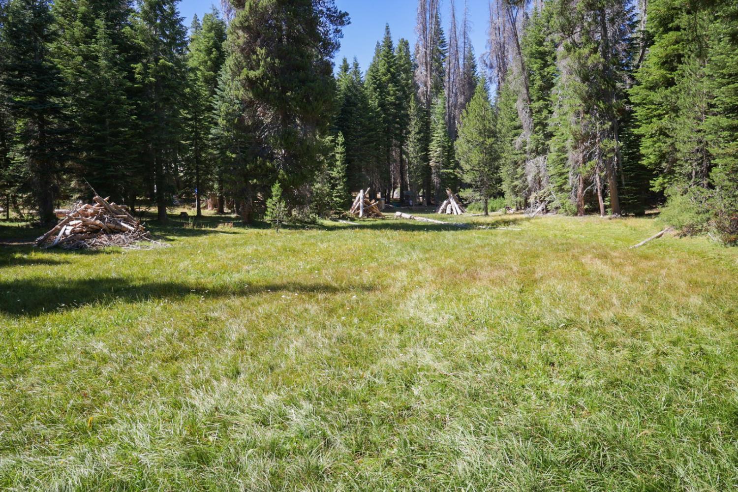 67922 Beasore Rd, Bass Lake, CA 95604