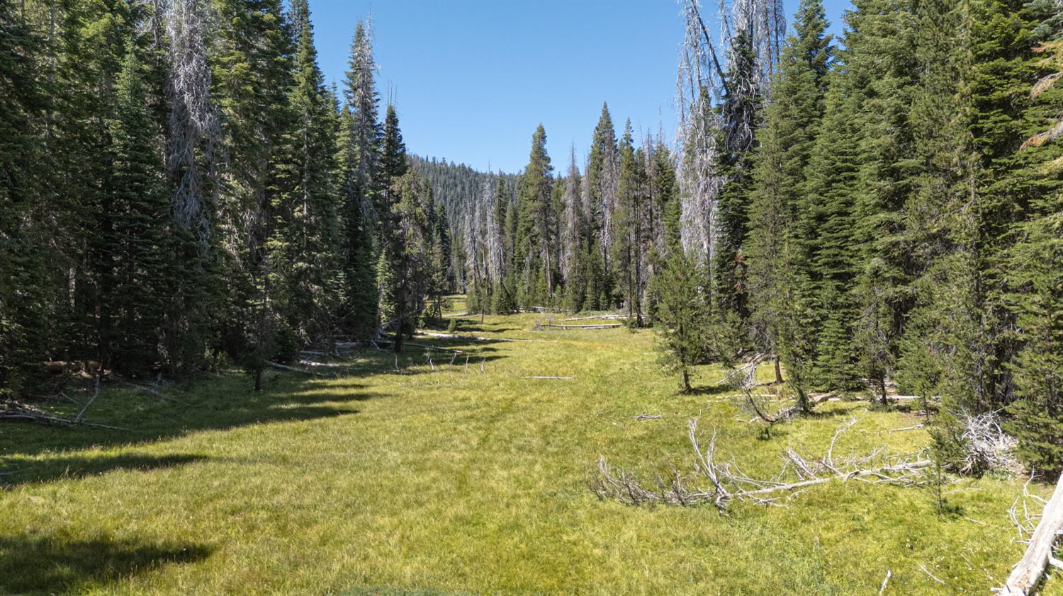 67922 Beasore Rd, Bass Lake, CA 95604