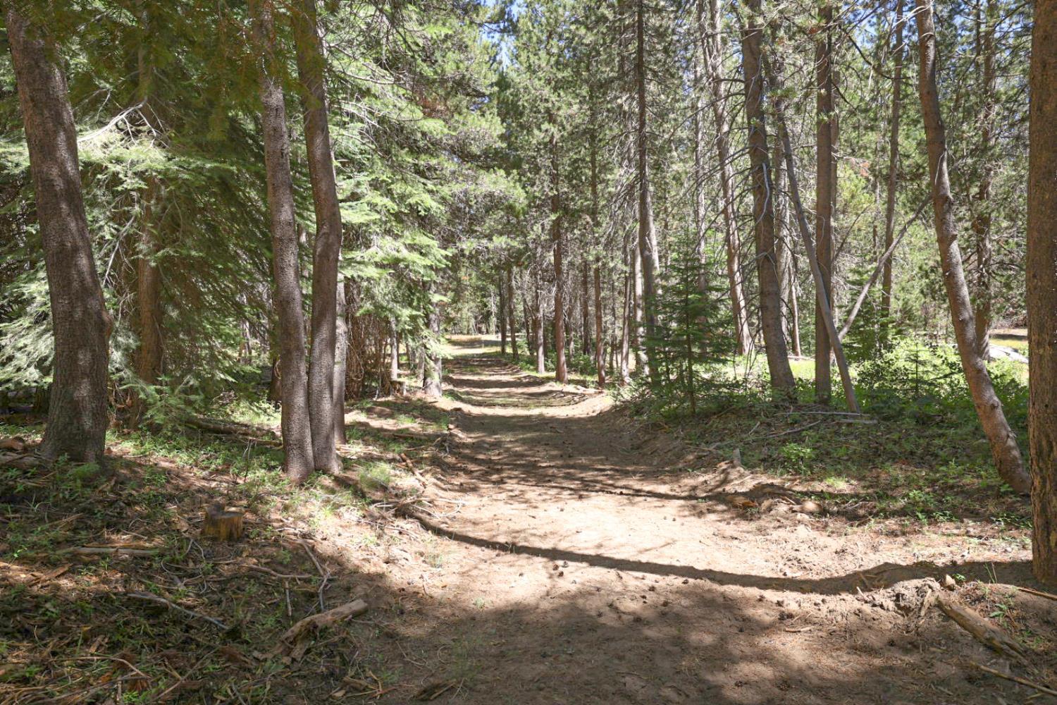67922 Beasore Rd, Bass Lake, CA 95604