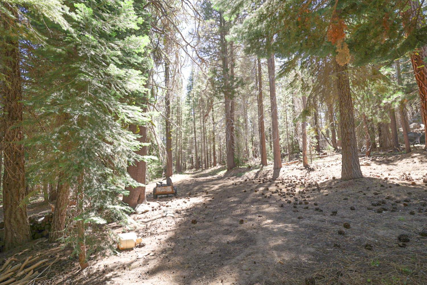 67922 Beasore Rd, Bass Lake, CA 95604