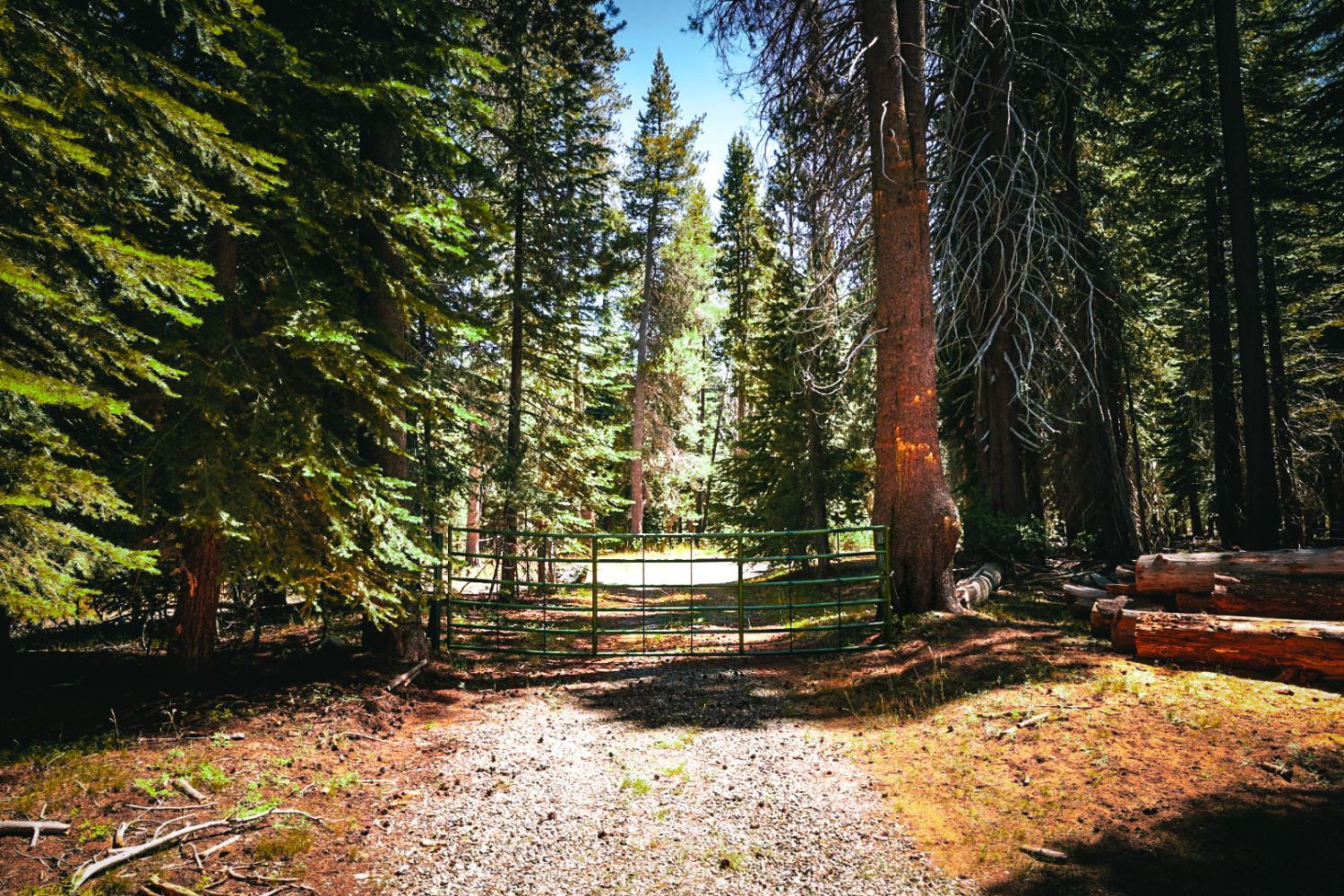 67922 Beasore Rd, Bass Lake, CA 95604