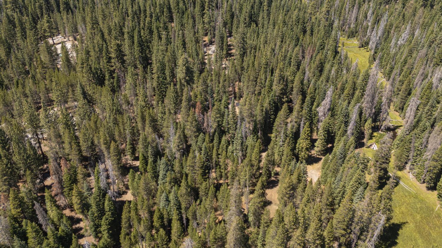 67922 Beasore Rd, Bass Lake, CA 95604