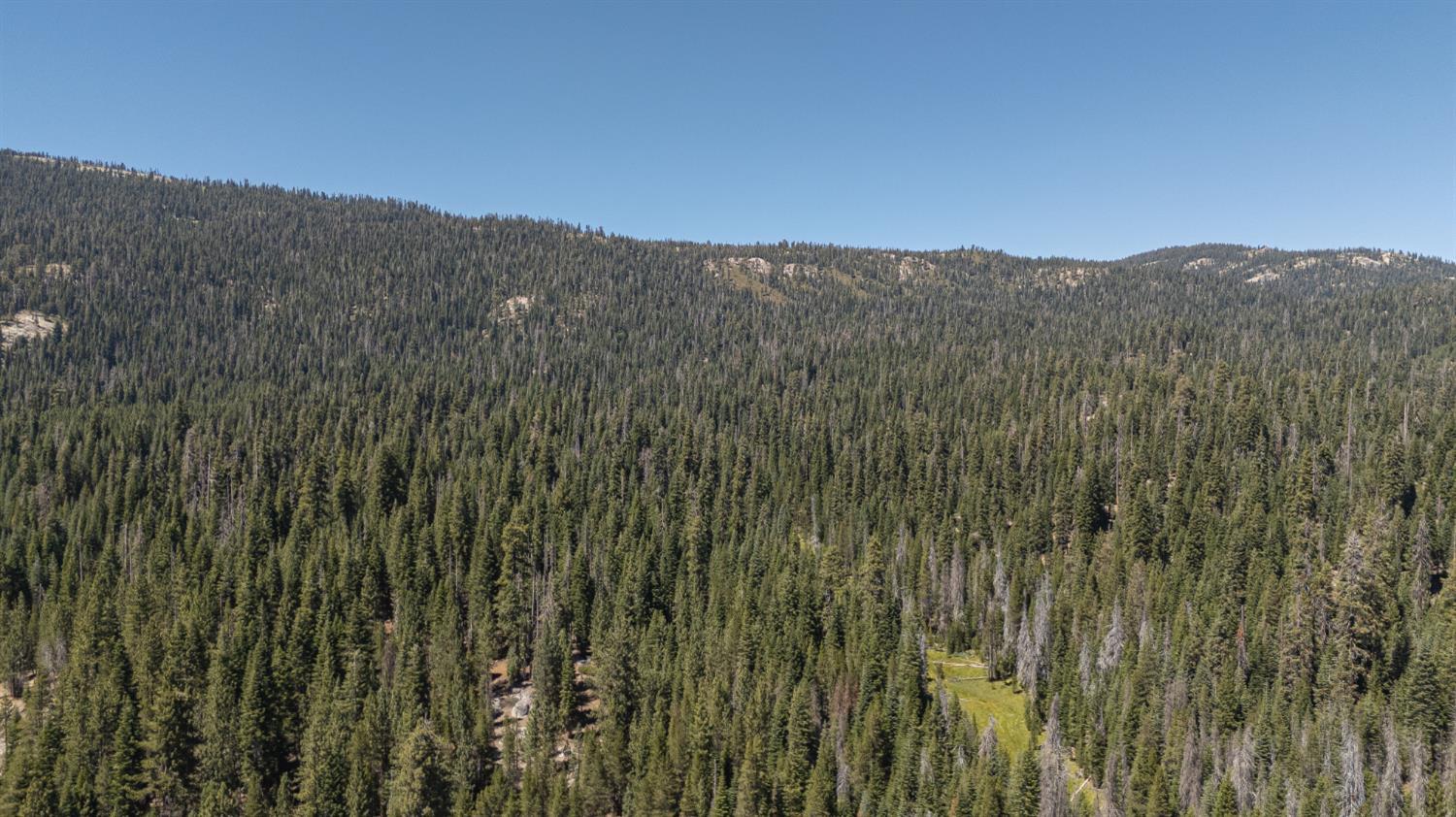 67922 Beasore Rd, Bass Lake, CA 95604