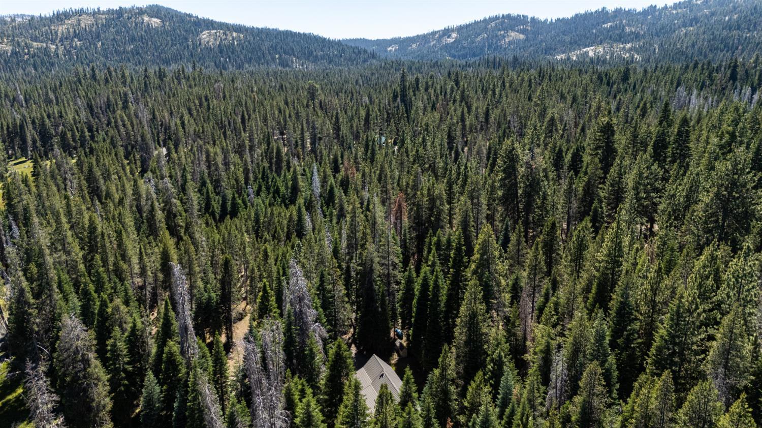 67922 Beasore Rd, Bass Lake, CA 95604